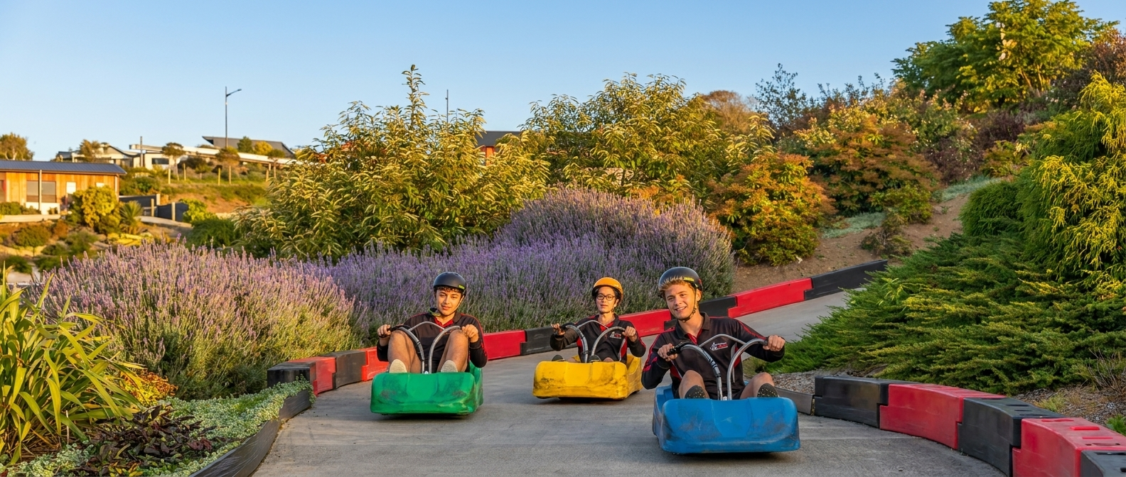 Luge